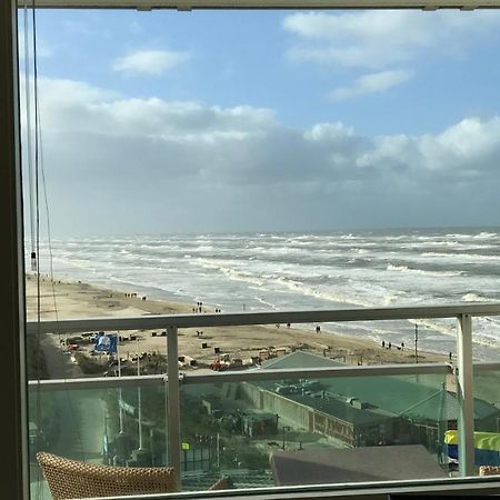 Dreamview Apartment Zandvoort Zewnętrze zdjęcie